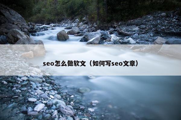 seo怎么做软文（如何写seo文章）