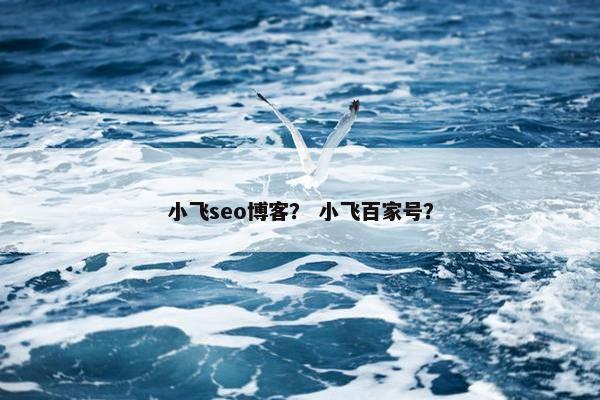 小飞seo博客？ 小飞百家号？