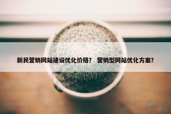 新民营销网站建设优化价格？ 营销型网站优化方案？