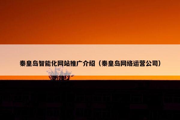 秦皇岛智能化网站推广介绍（秦皇岛网络运营公司）