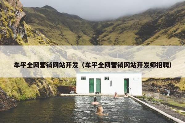 牟平全网营销网站开发（牟平全网营销网站开发师招聘）