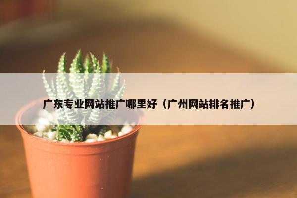 广东专业网站推广哪里好（广州网站排名推广）