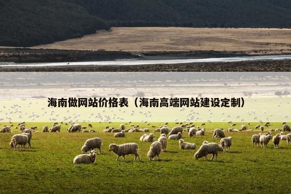 海南做网站价格表（海南高端网站建设定制）