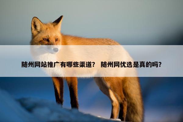 随州网站推广有哪些渠道？ 随州网优选是真的吗？