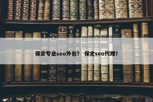 保定专业seo外包？ 保定seo代理？