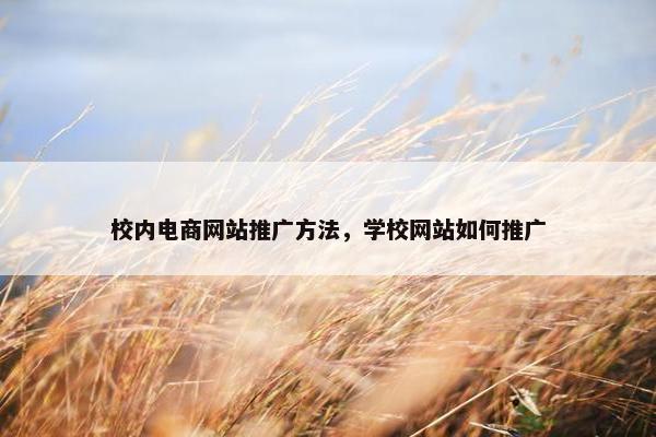 校内电商网站推广方法，学校网站如何推广
