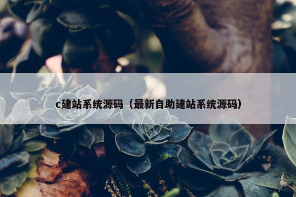 c建站系统源码（最新自助建站系统源码）