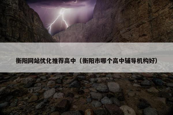 衡阳网站优化推荐高中（衡阳市哪个高中辅导机构好）