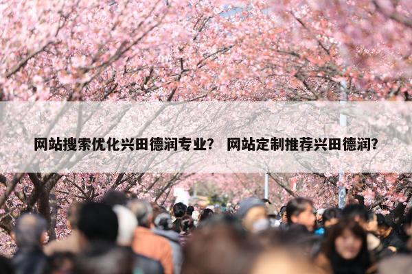 网站搜索优化兴田德润专业？ 网站定制推荐兴田德润？