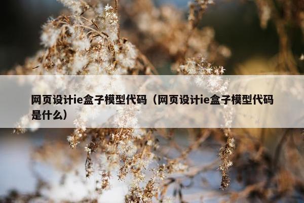 网页设计ie盒子模型代码（网页设计ie盒子模型代码是什么）