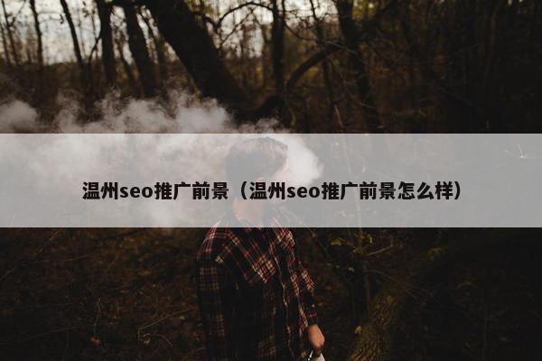 温州seo推广前景（温州seo推广前景怎么样）