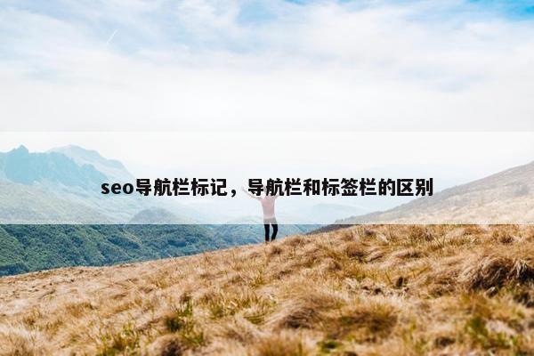 seo导航栏标记，导航栏和标签栏的区别