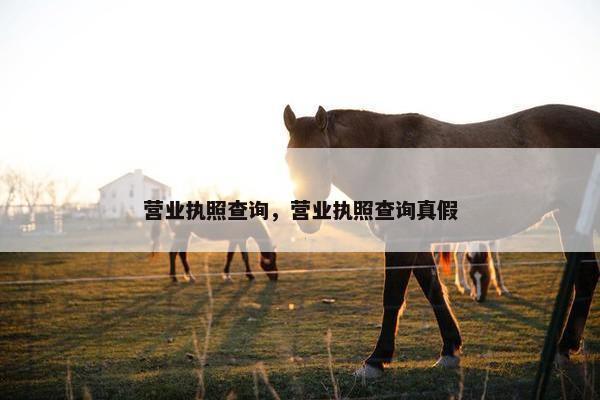 营业执照查询，营业执照查询真假
