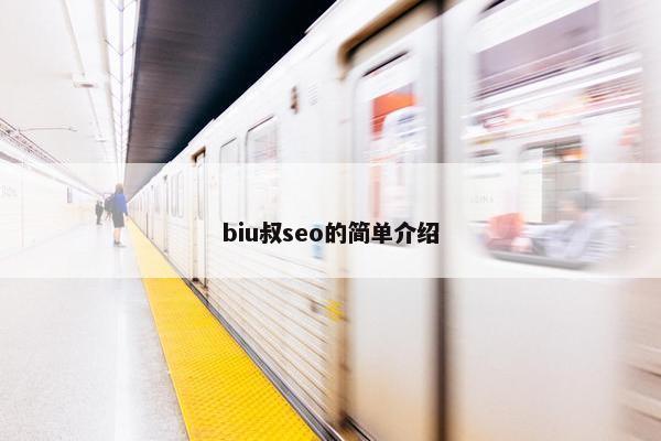 biu叔seo的简单介绍
