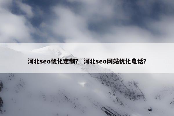 河北seo优化定制？ 河北seo网站优化电话？