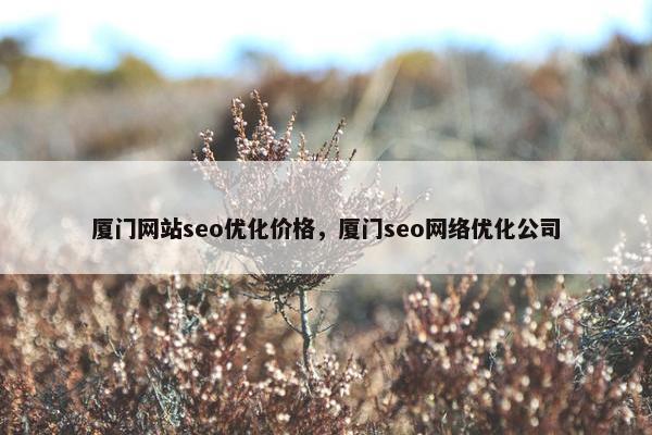 厦门网站seo优化价格，厦门seo网络优化公司
