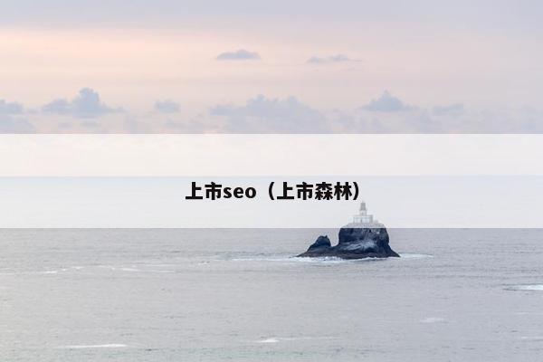上市seo（上市森林）