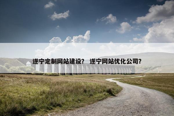 遂宁定制网站建设？ 遂宁网站优化公司？
