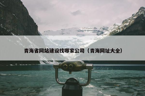 青海省网站建设找哪家公司（青海网址大全）