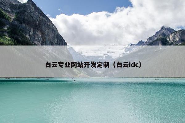 白云专业网站开发定制（白云idc）