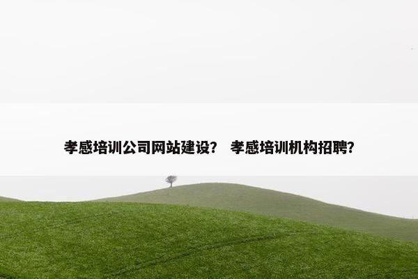 孝感培训公司网站建设？ 孝感培训机构招聘？