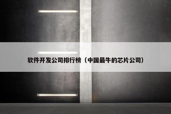 软件开发公司排行榜（中国最牛的芯片公司）