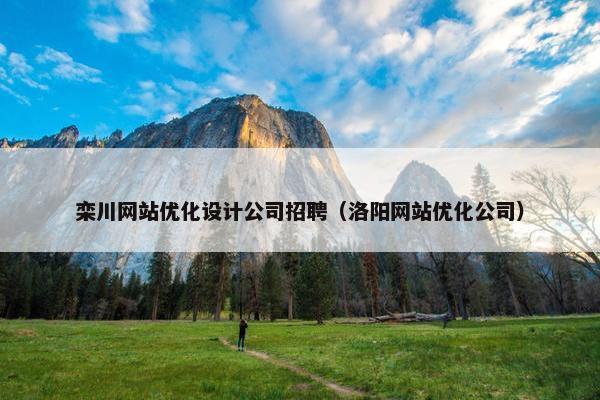 栾川网站优化设计公司招聘（洛阳网站优化公司）