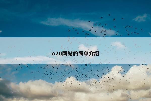 o20网站的简单介绍