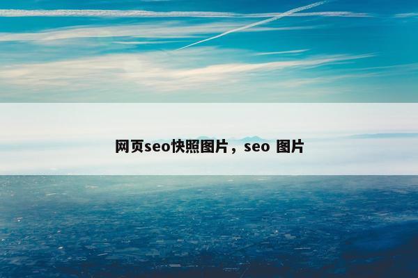 网页seo快照图片，seo 图片