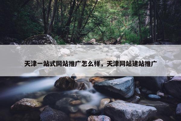 天津一站式网站推广怎么样，天津网站建站推广