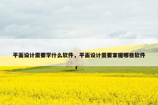 平面设计需要学什么软件，平面设计需要掌握哪些软件