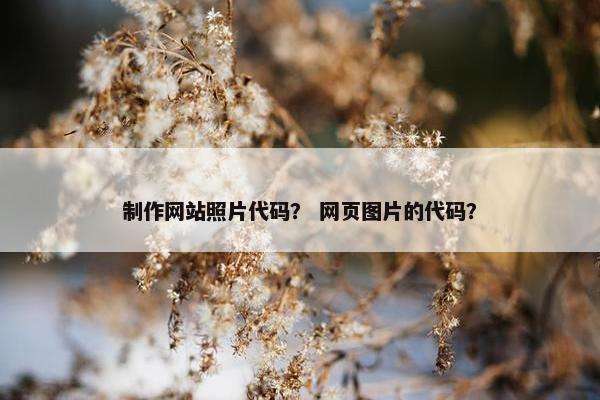 制作网站照片代码？ 网页图片的代码？