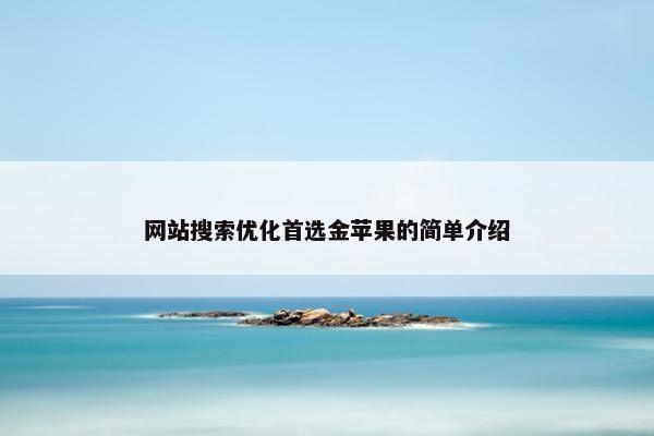网站搜索优化首选金苹果的简单介绍
