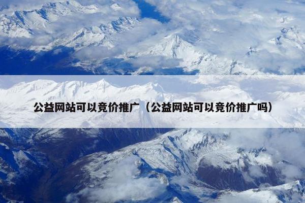 公益网站可以竞价推广（公益网站可以竞价推广吗）