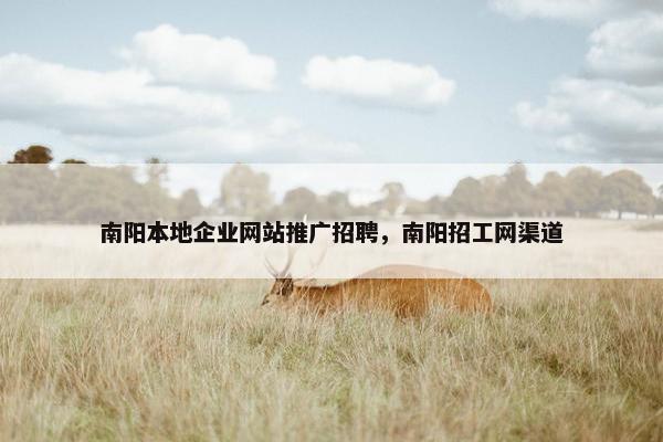 南阳本地企业网站推广招聘，南阳招工网渠道