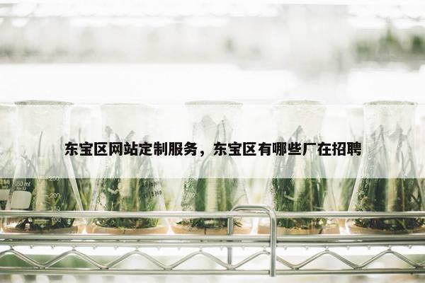 东宝区网站定制服务，东宝区有哪些厂在招聘