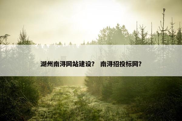 湖州南浔网站建设？ 南浔招投标网？