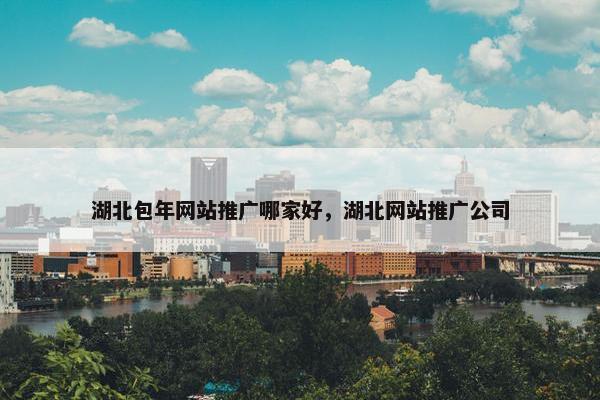湖北包年网站推广哪家好，湖北网站推广公司