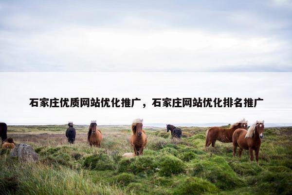 石家庄优质网站优化推广，石家庄网站优化排名推广