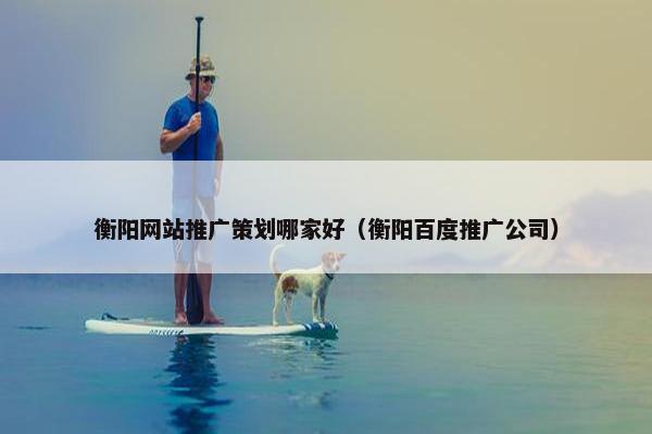 衡阳网站推广策划哪家好（衡阳百度推广公司）