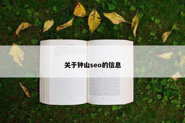 关于钟山seo的信息