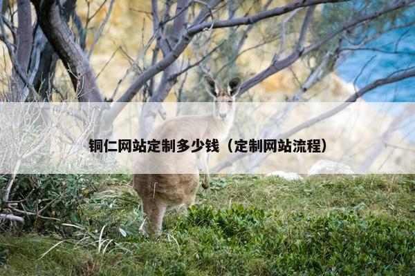 铜仁网站定制多少钱（定制网站流程）