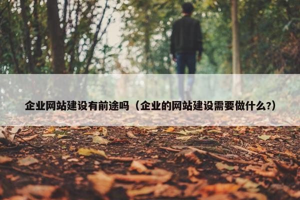 企业网站建设有前途吗（企业的网站建设需要做什么?）