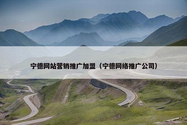 宁德网站营销推广加盟（宁德网络推广公司）