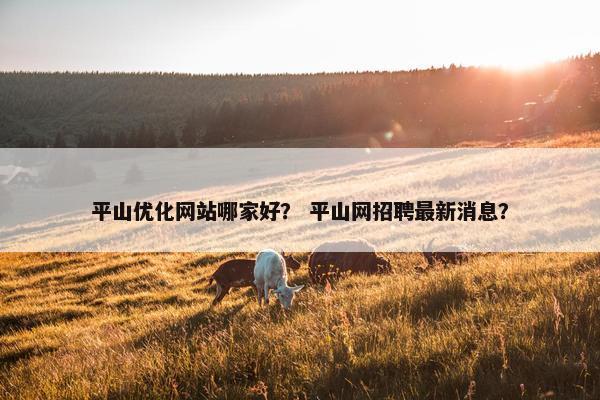 平山优化网站哪家好？ 平山网招聘最新消息？