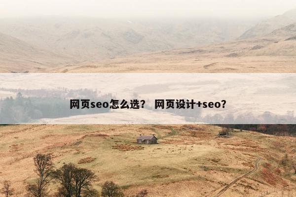 网页seo怎么选？ 网页设计+seo？