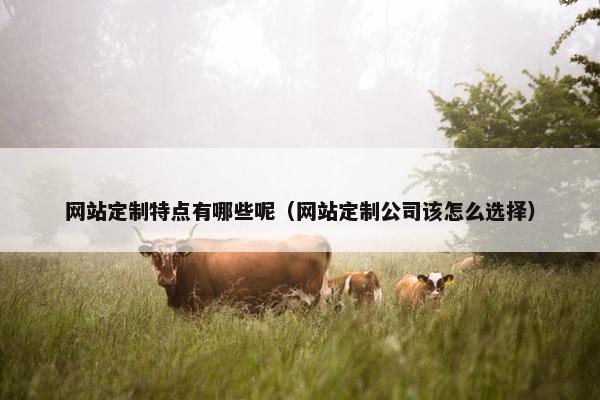 网站定制特点有哪些呢（网站定制公司该怎么选择）