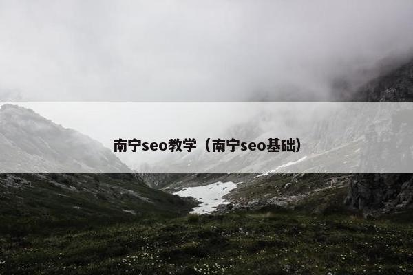 南宁seo教学（南宁seo基础）