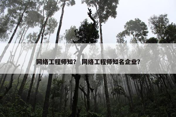 网络工程师知？ 网络工程师知名企业？