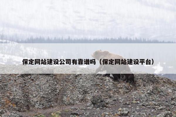保定网站建设公司有靠谱吗（保定网站建设平台）